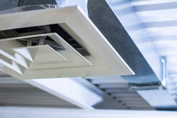 Best Home Air Vent Cleaning  in Westfield, IN