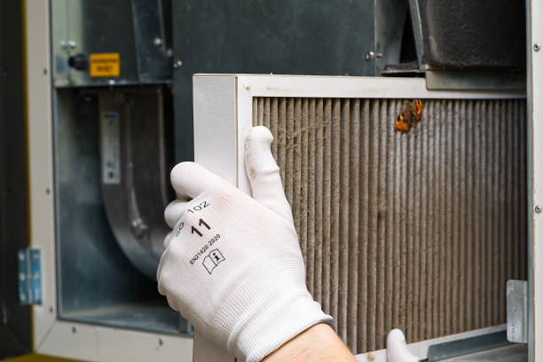 Best Affordable Duct Cleaning Services  in Westfield, IN